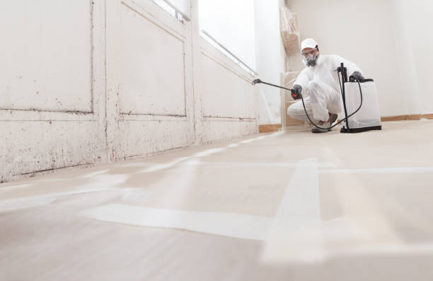 24/7 Emergency Mold Remediation experts in Deltaville, VA