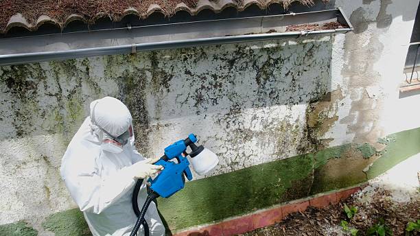 Top rated local Mold Remediation specialists in Deltaville, VA